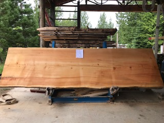 Spruce Slab 57270